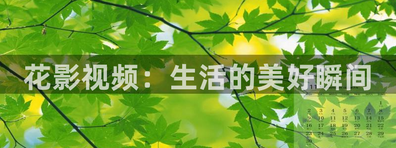 丝瓜视频sg：花影视频：生活的美好瞬间