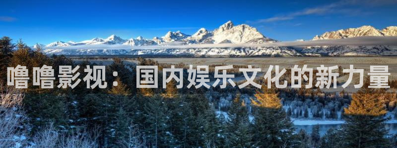 丝瓜网：噜噜影视：国内娱乐文化的新力量