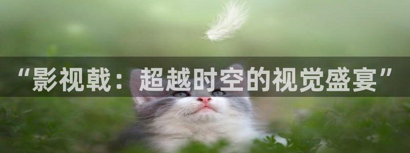 丝瓜视频网站网址：“影视戟：超越时空的视觉盛宴”