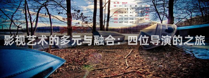 丝瓜视频黄版下载地址：影视艺术的多元与融合：四位导演的之旅