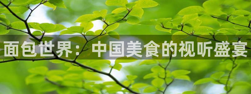 黄色的丝瓜视频：面包世界：中国美食的视听盛宴