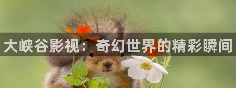 丝瓜视频免费下：大峡谷影视：奇幻世界的精彩瞬间