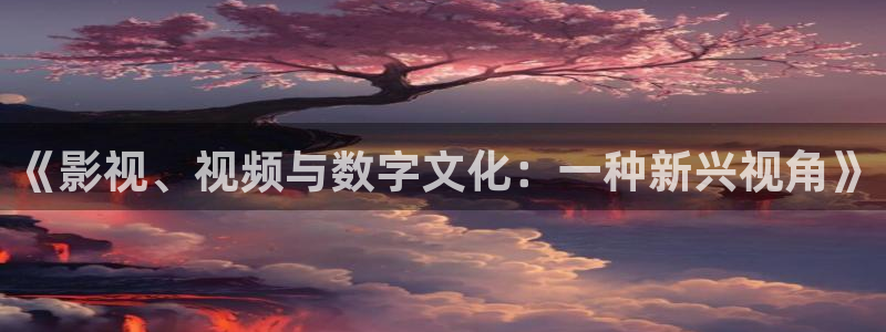 动漫丝瓜视频：《影视、视频与数字文化：一种新兴视角》