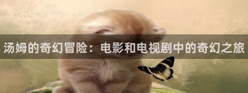 丝瓜apk：汤姆的奇幻冒险：电影和电视剧中的奇幻之旅